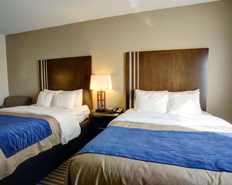 Comfort Inn & Suites Navasota Exterior photo