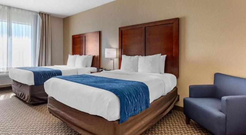 Comfort Inn & Suites Navasota Exterior photo